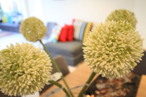 Nest-Apartments On QV - Stayed 8