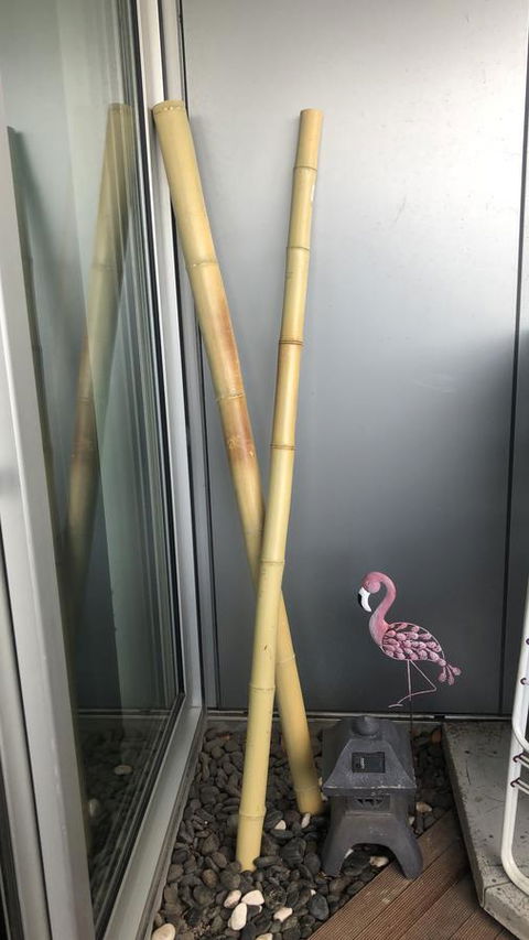 Nest-Apartments On QV - Stayed 1