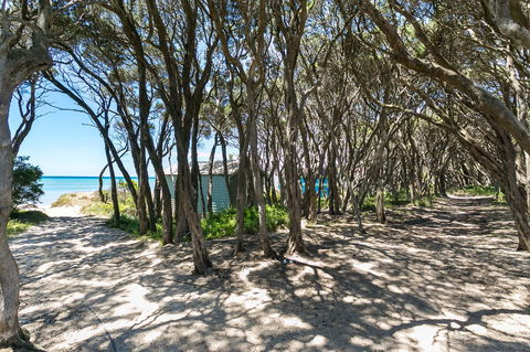 Perfect Blairgowrie Beach House - Stays Accommodation 17