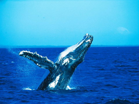 La Mer Sunshine Beachfront - Stays Accommodation 19