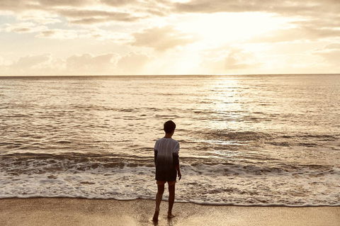 Sea Change Beachfront Apartments - Stayed 20