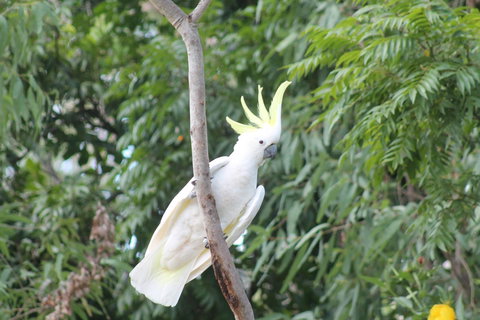 Airlie Beach Eco Cabins - Adults Only - Stayed 4