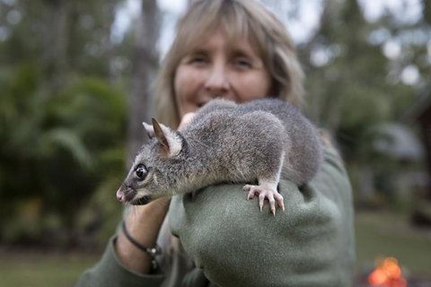 Airlie Beach Eco Cabins - Adults Only - Stayed 11