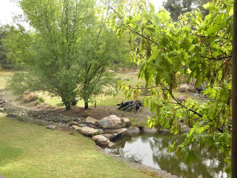 Granite Belt Retreat And Brewery - Stayed 21