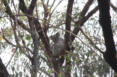 Granite Belt Retreat And Brewery - Stayed 20