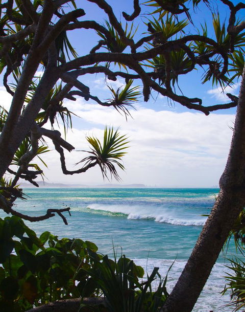 Rainbow Bay Backpackers - Stayed 25