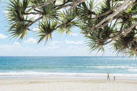 Netanya Noosa Beachfront Resort - Stayed 38