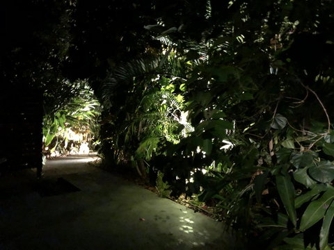 Serenity - Stays Accommodation 17