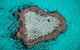 Poinciana 112 - thumb 21