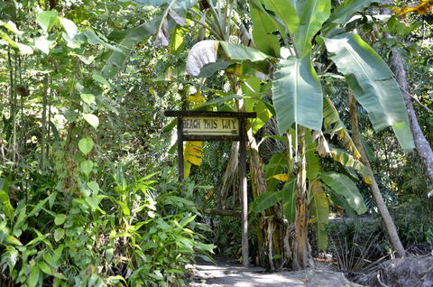 PK\'s Jungle Village - Stays Accommodation 23