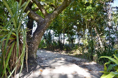 PK\'s Jungle Village - Stays Accommodation 28