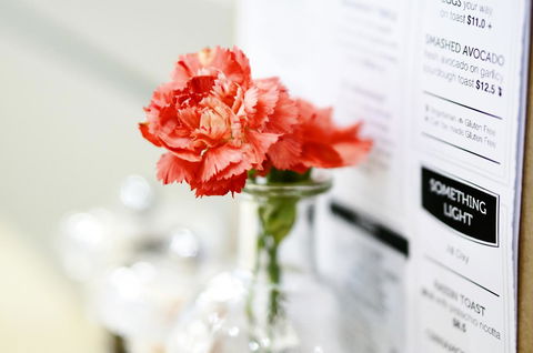 Madison Plaza Townsville - Stayed 20