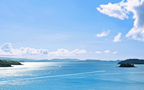 Shorelines - Stayed 15