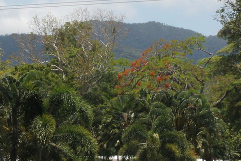 Sea Point On Trinity Beach - Stayed 21