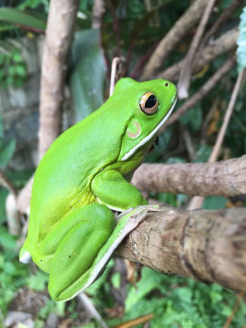 Bella By The Beach - Stayed 15