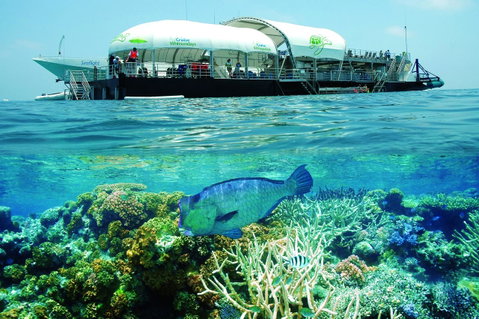 The Sebel Whitsundays - Stays Accommodation 9