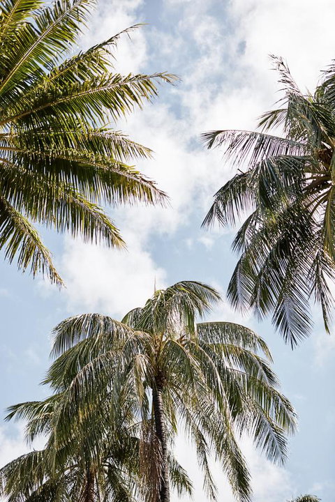 Novotel Cairns Oasis Resort - Stayed 9