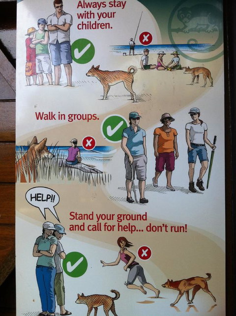 Fraser Island Retreat - Stayed 31