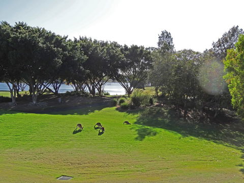 Waterfront Resort Villa With Buggy - Stayed 32