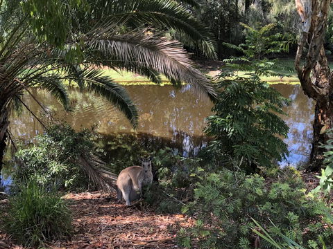 Waterfront Resort Villa With Buggy - Stayed 25