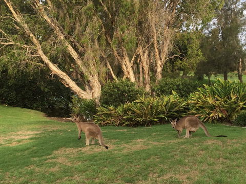 Waterfront Resort Villa With Buggy - Stayed 19