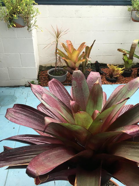 Black Marlin Motel - Stays Accommodation 17