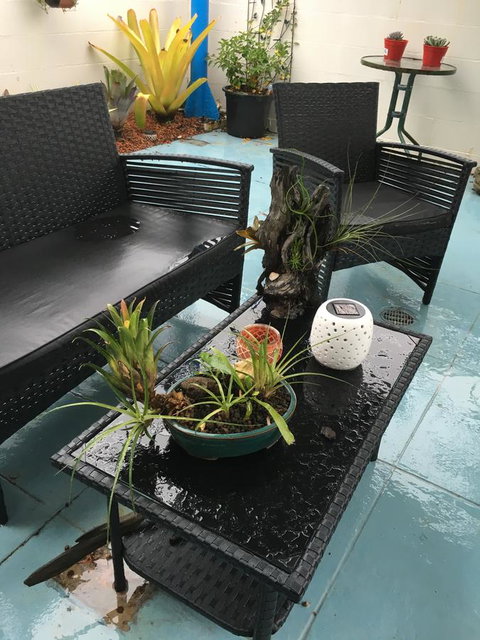 Black Marlin Motel - Stays Accommodation 3