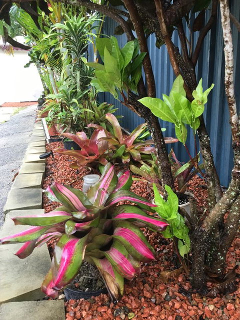 Black Marlin Motel - Stays Accommodation 20