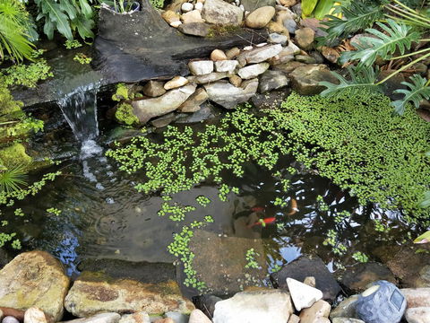 Waterfront Theme Park Getaway - Stayed 26