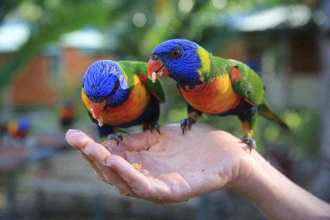 Tasman Holiday Parks - Airlie Beach - Stayed 17