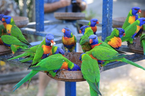 Tasman Holiday Parks - Airlie Beach - Stayed 23