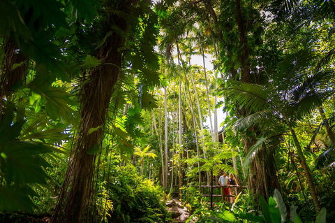 Cairns Colonial Club Resort - Stayed 22