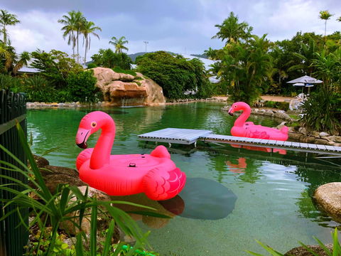 Cairns Colonial Club Resort - Stayed 6