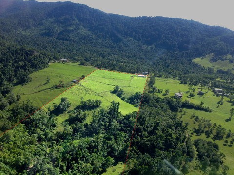 Misty Mountains Rainforest Retreat - Stays Accommodation 33