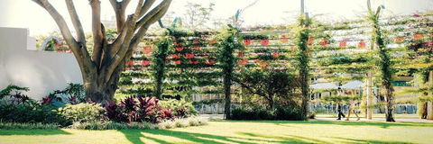 Vine Apartments South Brisbane - Stayed 19