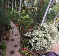 Casuarina - Stayed