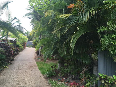 Casuarina - Stayed 21