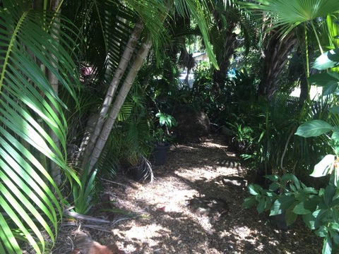 Casuarina - Stayed 12