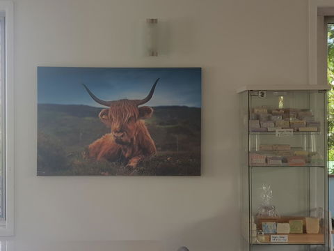 Highland House - Stayed 4