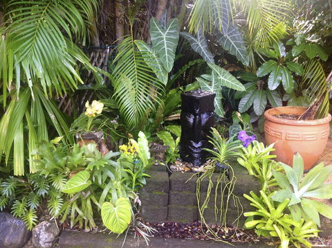 Bluewater Bed & Breakfast Cairns - Stayed 16