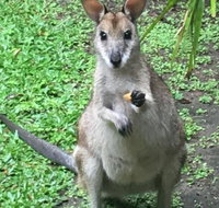 Bluewater Bed  Breakfast Cairns - Stayed