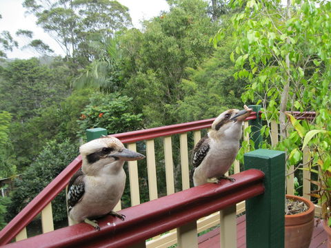 Shasta Place - Stayed 12