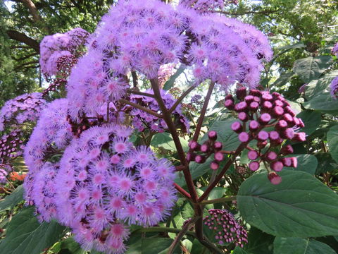 Shasta Place - Stayed 8