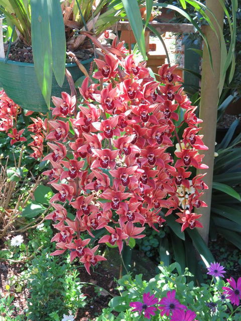 Shasta Place - Stayed 9