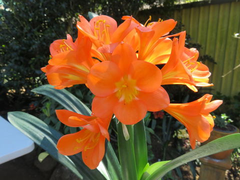 Shasta Place - Stayed 10