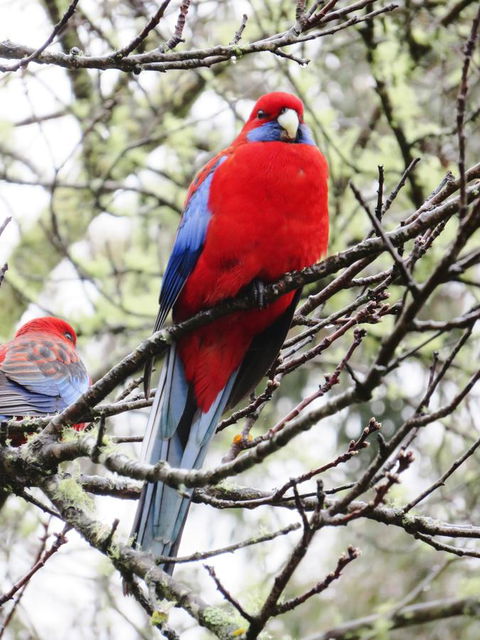 Shasta Place - Stayed 13