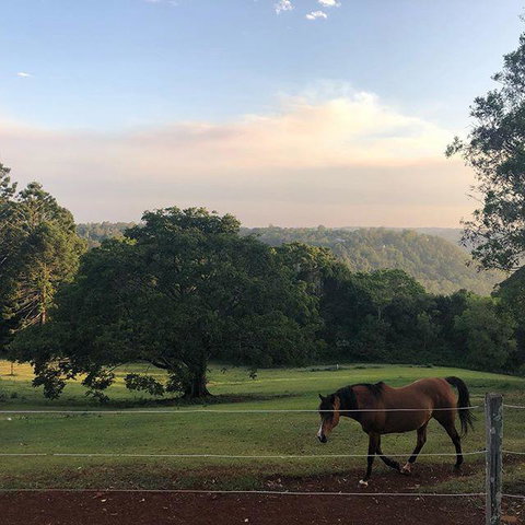 Montville Holiday Apartments - Stays Accommodation 3