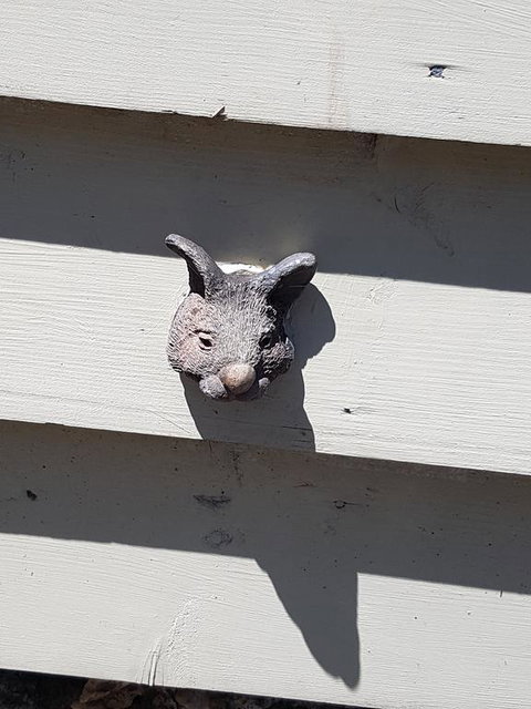 Webster Terrace - Stayed 2