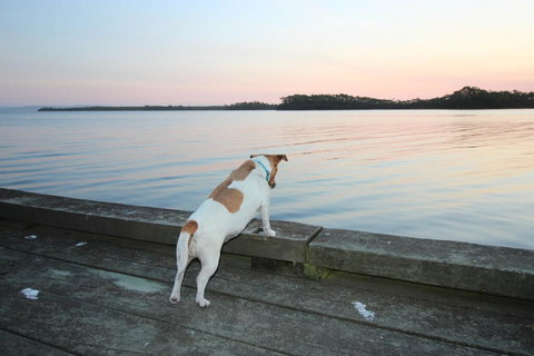 Wheelhouse Apartments - Stayed 2