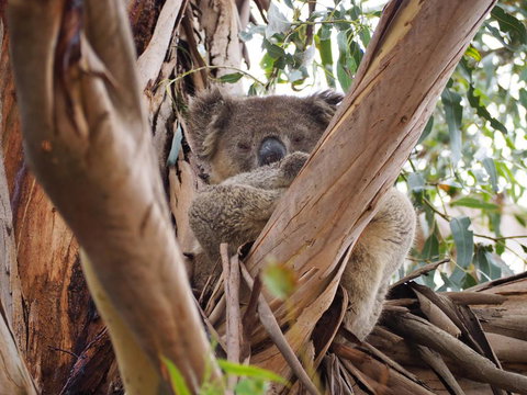 WHITE SHELLS HOLIDAY RENTAL - Stayed 1